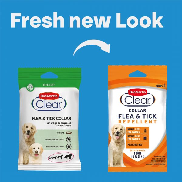 Bob Martin Clear Dog Flea Tick Replellent Collar New Look 1080px A "Fresh New Look" infographic showing the packaging transition for Bob Martin Clear. On the left is the old white and green sachet; a white arrow points to the right, showing the new white and orange branding. Both packages feature a golden retriever and confirm suitability for dogs from 12 weeks