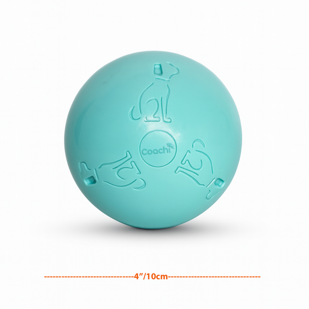 Cool Mint Coloured Boomi Ball Puppy Toy with 4 inch / 10cm dimensions