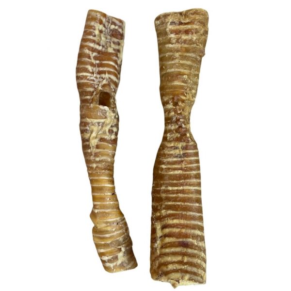 Buffalo Trachea 30cm 1080