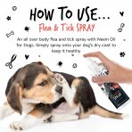 Bugalugs Flea & Tick Spray How to Use 1080