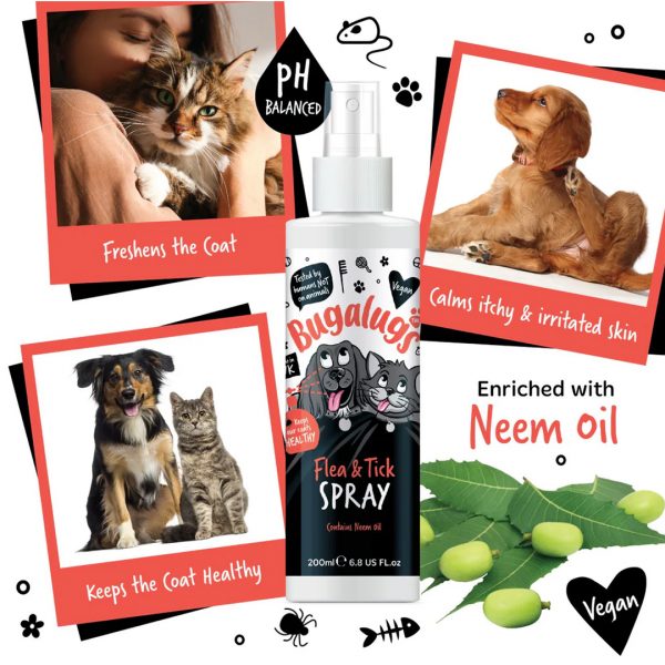Bugalugs Flea & Tick Spray Lifestyle Infographic 1080 Bugalugs Flea & Tick Spray Lifestyle Infographic 1080