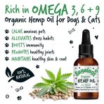 Bugalugs Hemp Oil Benefits Infographic 1080px