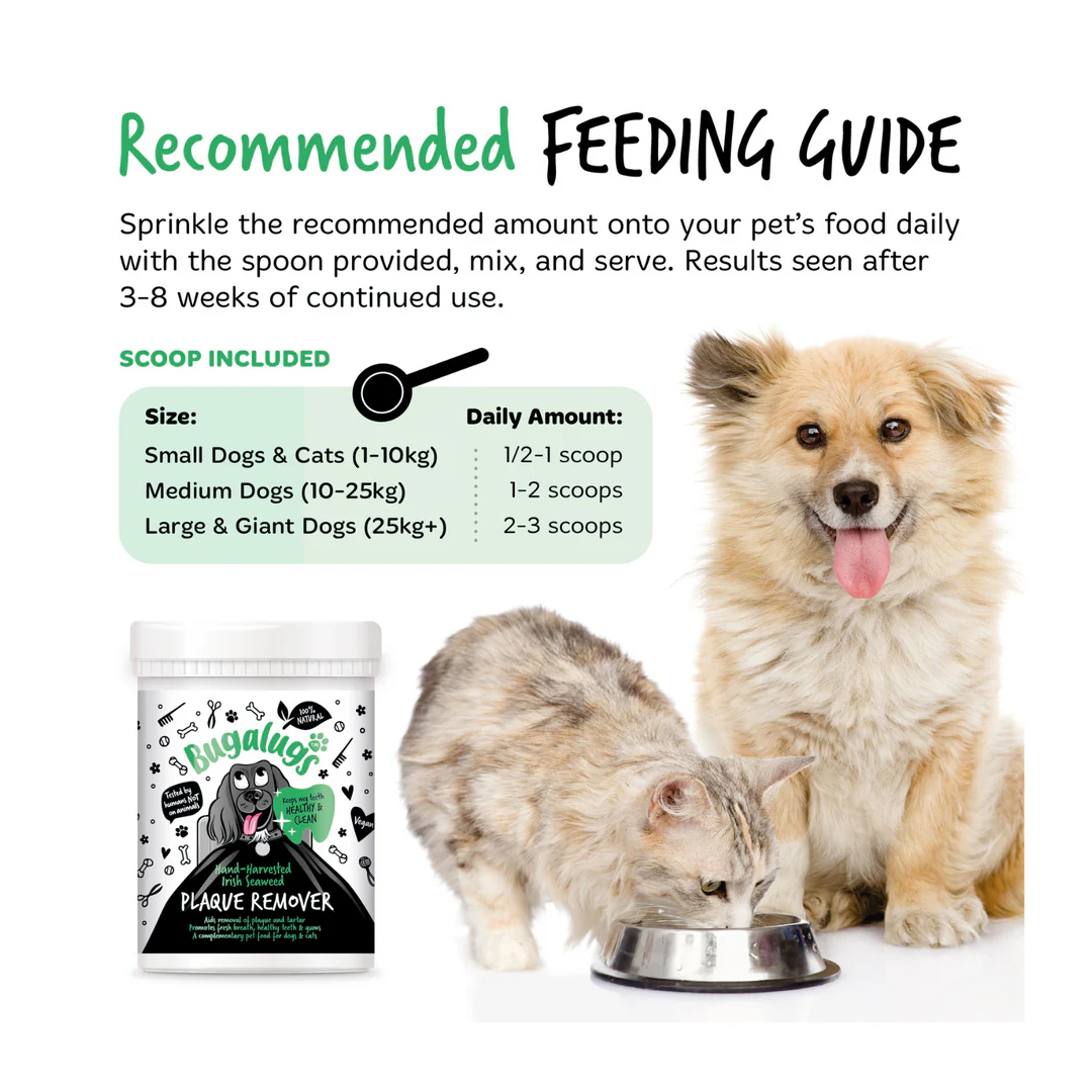 Bugalugs Plaque Remover for Dogs and Cats - Image 2