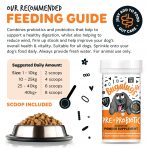 Bugalugs Pre Pro Biotic Powder Feeding Guide Infographic 1080px