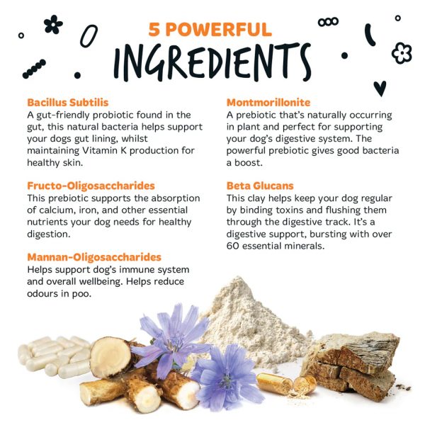 Bugalugs Pre Pro Biotic Powder Ingredients Info Infographic 1080px Bugalugs Pre Pro Biotic Powder Ingredients Info Infographic 1080px