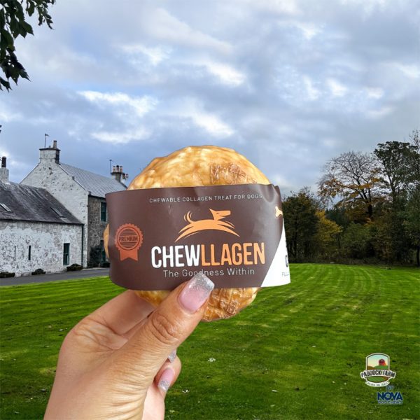 Chewllagen Chicken Donuts Hand 1000 Chewllagen Chicken Donuts Hand 1000