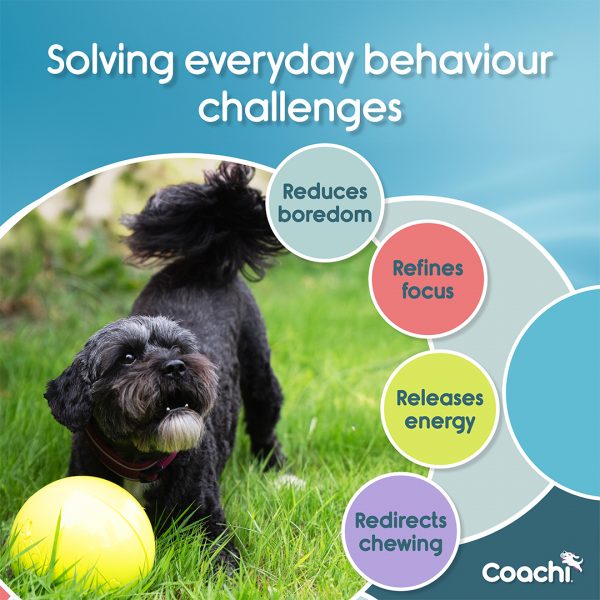 Coachi Boomi Ball Behaviour Challenges Infographic 1080px Coachi Boomi Ball Behaviour Challenges Infographic 1080px