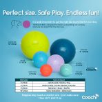 Coachi Boomi Ball Size Guide Infographic 1080px