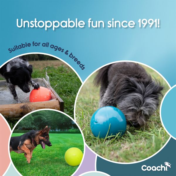 Coachi Boomi Ball Unstoppable Fun Infographic 1080px Coachi Boomi Ball Unstoppable Fun Infographic 1080px