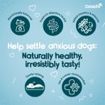 Coachi Calming Treats Anxious Dogs Infographic 1080px