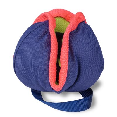 Coachi Chase & Treat