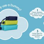 Coachi Dummy Why Use