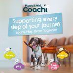 Lifestyle infographic with text "Supporting every step of your journey: Learn, Play, Grow. Together" above a running brown and white spaniel puppy, featuring four training category icons: learn (recall & manners), play (play & reward), fun & tricks (tricks & retrieval), and rewards (treats & enrichment)