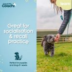 Coachi Puppy Mini Waterproof Line Infographics 1080 (2)
