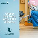 Coachi Puppy Mini Whizzclick Easy Fun Infographic 1080px
