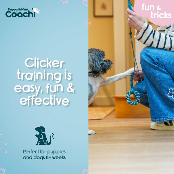 Coachi Puppy Mini Whizzclick Easy Fun Infographic 1080px Coachi Puppy Mini Whizzclick Easy Fun Infographic 1080px
