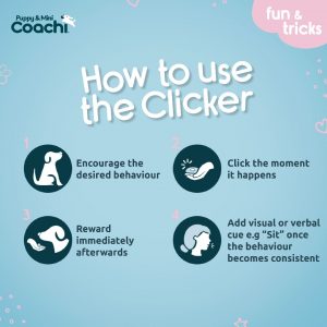 Coachi Puppy & Mini Whizzclick – 2-in-1 Dog Training Clicker & Whistle 1 Step-by-step training guide titled "How to use the Clicker" featuring four numbered icons: 1. Encourage the desired behaviour, 2. Click the moment it happens, 3. Reward immediately afterwards, and 4. Add visual or verbal cue once consistent.
