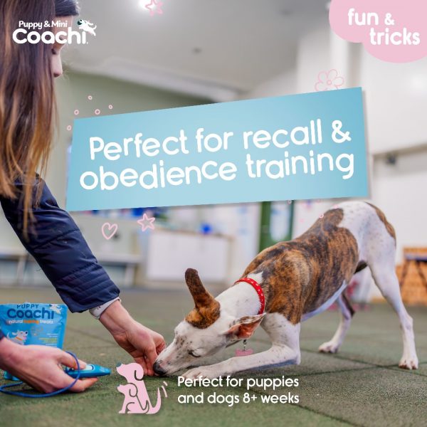 Coachi Puppy Mini Whizzclick Perfect Infographic 1080px Lifestyle infographic titled "Perfect for recall & obedience training" showing a person giving a treat to a brown and white puppy bowing down on a training mat, holding a teal Coachi Whizzclick and treat pouch, captioned "Perfect for puppies and dogs 8+ weeks".