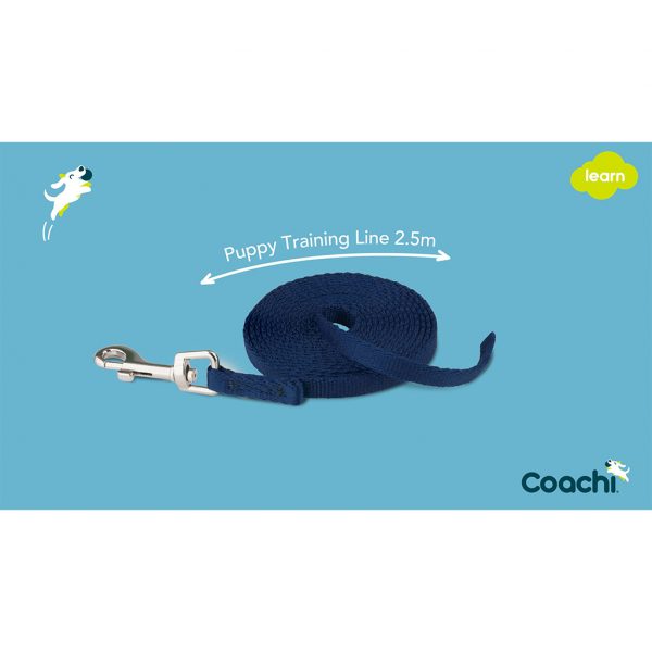 Coachi Puppy Training Line5 1024 Coachi Puppy Training Line5 1024