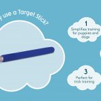 Coachi Target Stick Why Use