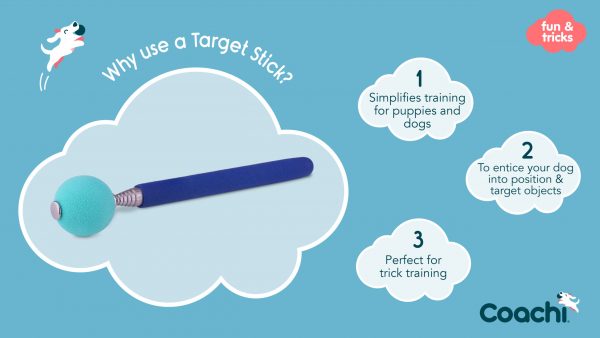 Coachi Target Stick Why Use Coachi Target Stick Why Use