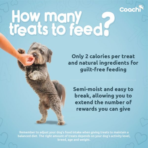 Coachi Training Treats How Many 1080px Coachi Training Treats How Many 1080px