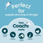 Coachi-brand-images-3-online
