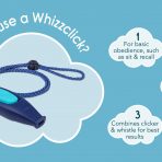 Coachi Whizzclick Why Use