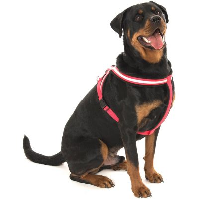 Dog Harnesses