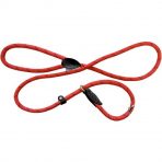 Dog Slip Lead in Red with reflective stripe