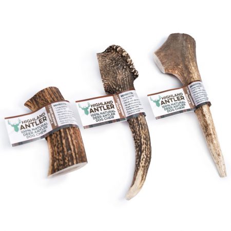 Highland Deer Antler - Natural Dog Chew