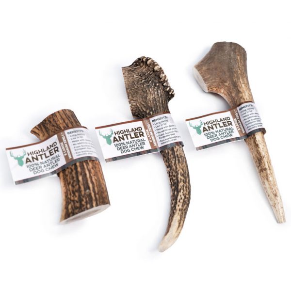 Deer Antler XLarge 1024