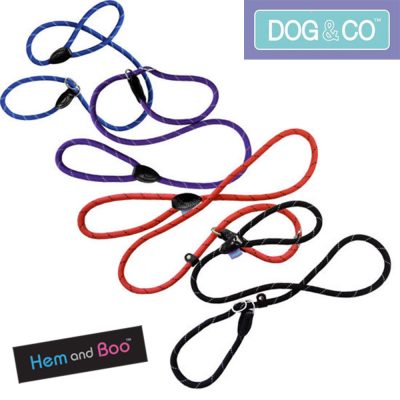 Set of 4 different coloured rope dog slip leads