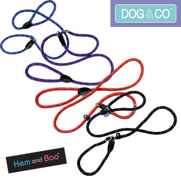 Set of 4 different coloured rope dog slip leads
