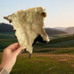 Hairy-Beef-Skin2