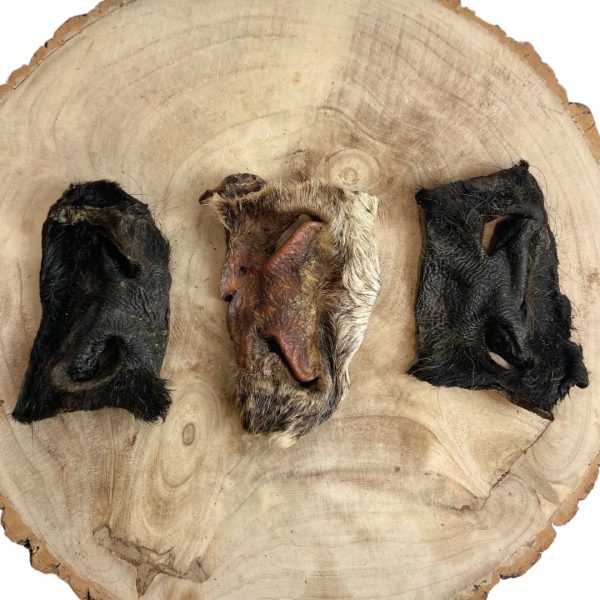 Hairy-Beef-snouts
