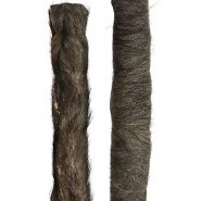 Hairy-Jumbo-Buffalo-Roll-2
