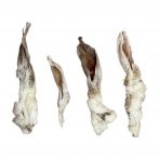 Hairy-rabbit-ears