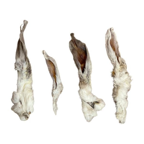 Hairy-rabbit-ears Hairy-rabbit-ears