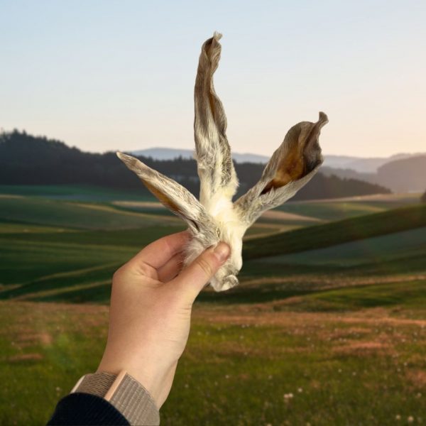 Hairy-rabbit-ears-hand Hairy-rabbit-ears-hand