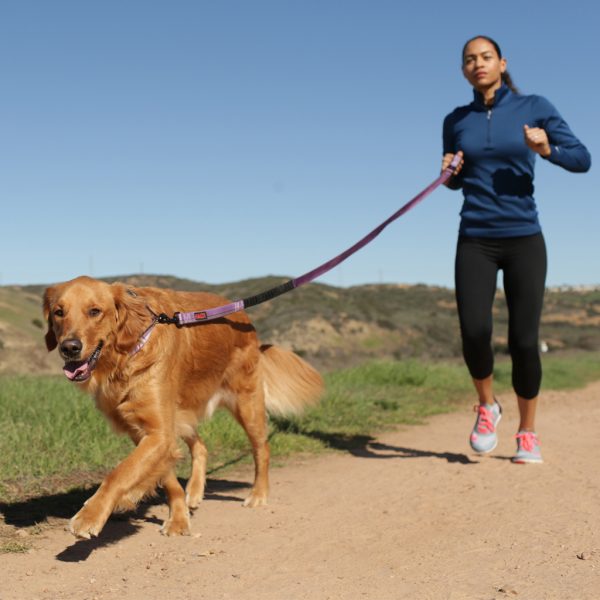 Halti Active Lead Lifestyle1 1024 Halti Active Lead Lifestyle1 1024