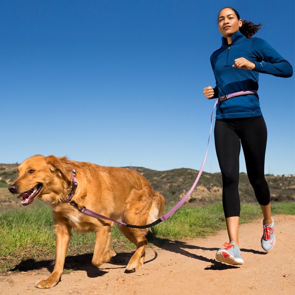 Halti Active Lead Lifestyle2 1024 Halti Active Lead Lifestyle2 1024