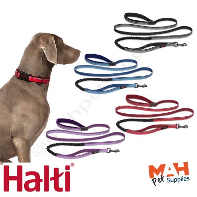 Halti Active Dog Lead - All in One Running/Canicross Trigger Lead