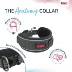 Halti Anatomy Collar Grey Features Guide 1080px
