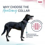 Halti Anatomy Collar Grey Why Choose 1080px