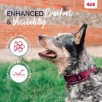 Halti Anatomy Collar Magenta Lifestyle 1080px