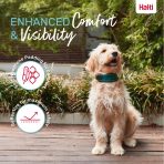 Halti Anatomy Collar Teal Comfort 1080px