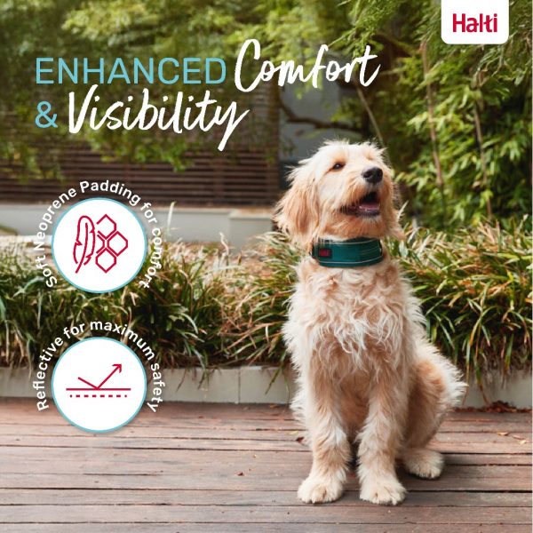 Halti Anatomy Collar Teal Comfort 1080px Halti Anatomy Collar Teal Comfort 1080px