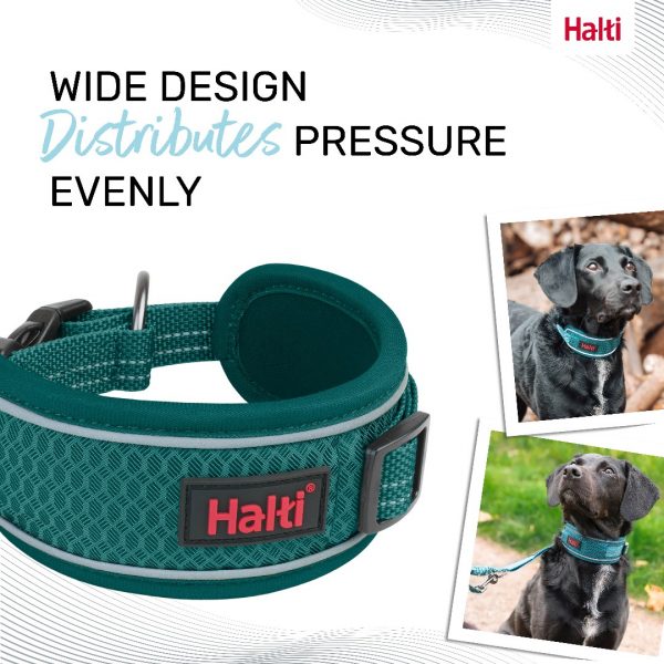 Halti Anatomy Collar Teal Wide Deign 1080px Halti Anatomy Collar Teal Wide Deign 1080px