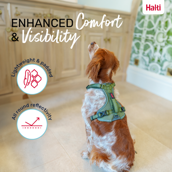 Halti Anatomy Harness Green Comfort and Visibility Infographic 1080 Halti Anatomy Harness Green Comfort and Visibility Infographic 1080